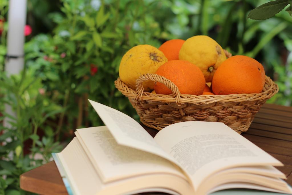 クアルトゥッチュ Fiori E Limoni Bed & Breakfast エクステリア 写真