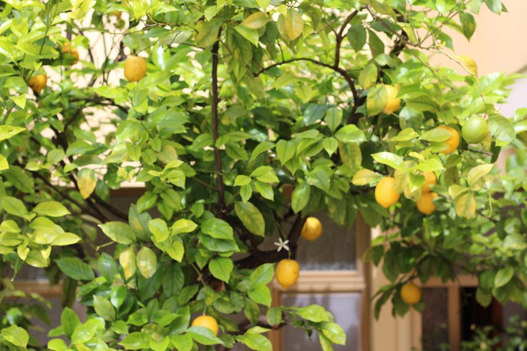 クアルトゥッチュ Fiori E Limoni Bed & Breakfast エクステリア 写真