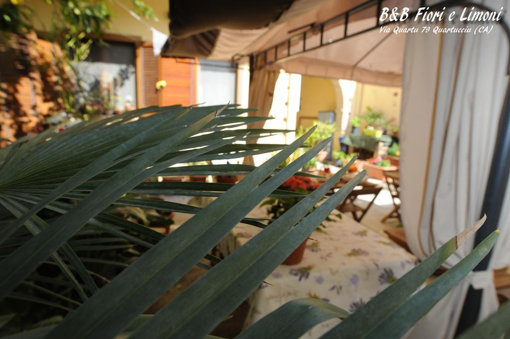 クアルトゥッチュ Fiori E Limoni Bed & Breakfast エクステリア 写真